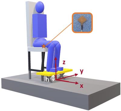 Effect of Seat Backrest Inclination on the Muscular Pattern and Biomechanical Parameters of the Sit-to-Stand